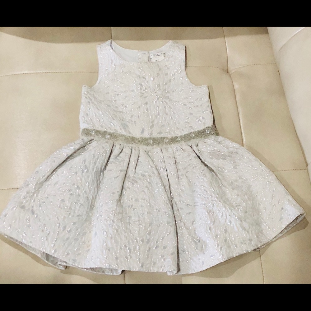 Formal Little Girl Princess Dress Silver White 3T